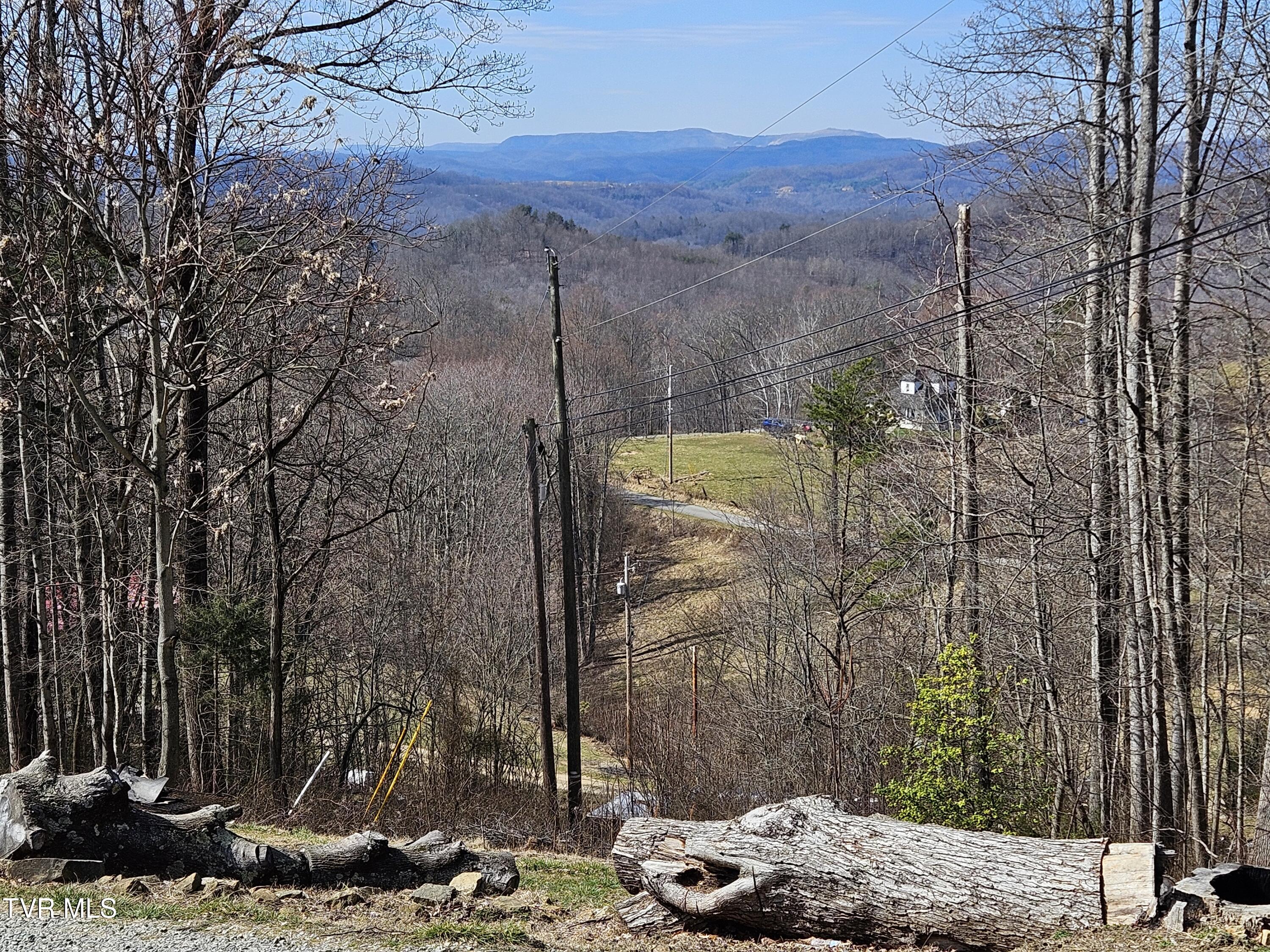 229 Harm Ridge Property Photo 40