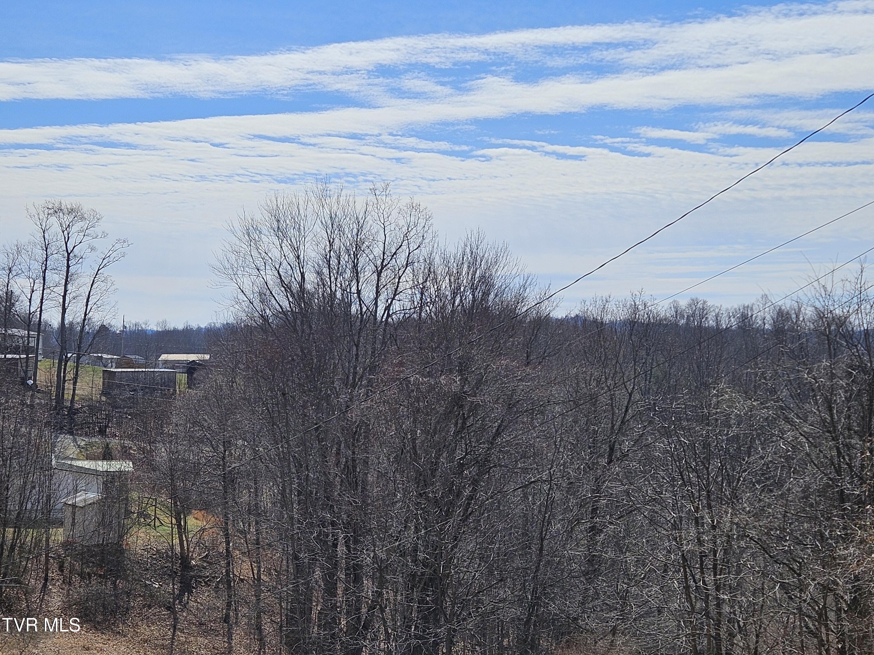 229 Harm Ridge Property Photo 41