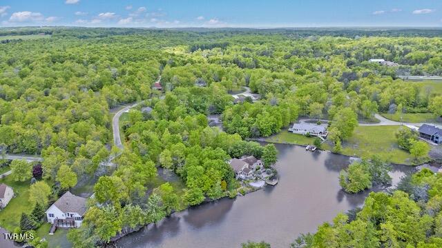 4058 Lone Wolf Circle Property Photo 6