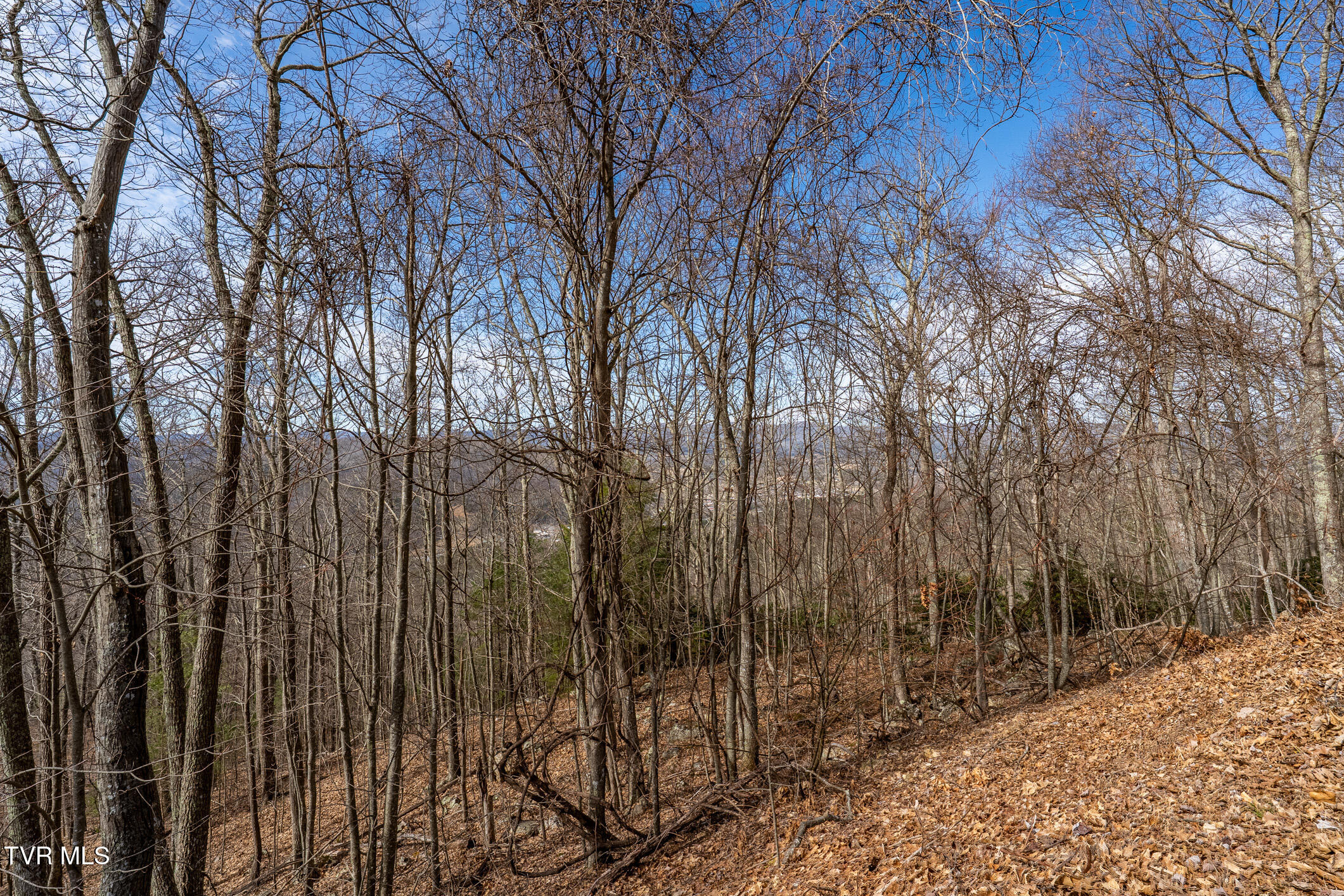 Tbd Iroquois Road Property Photo