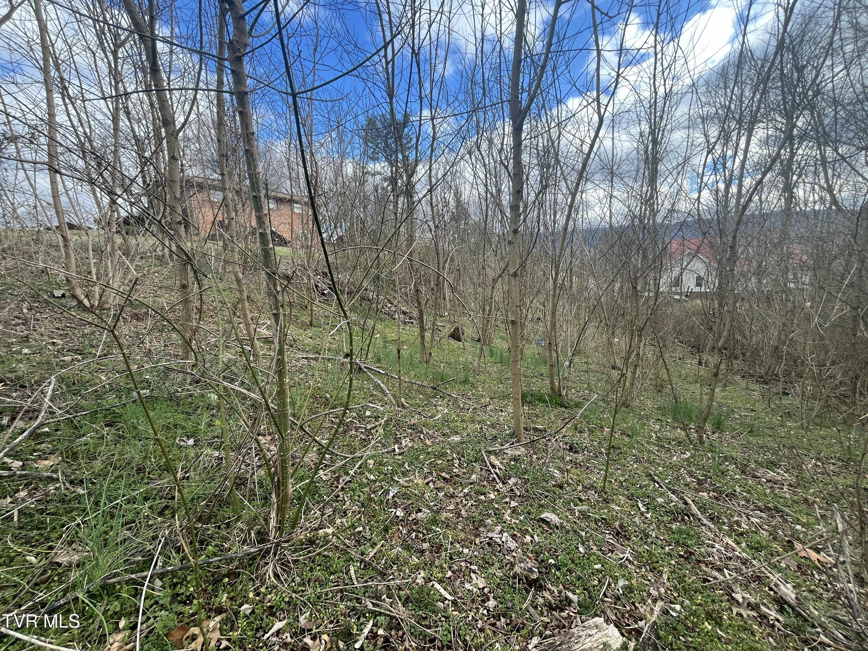 0 Jennings Drive Property Photo