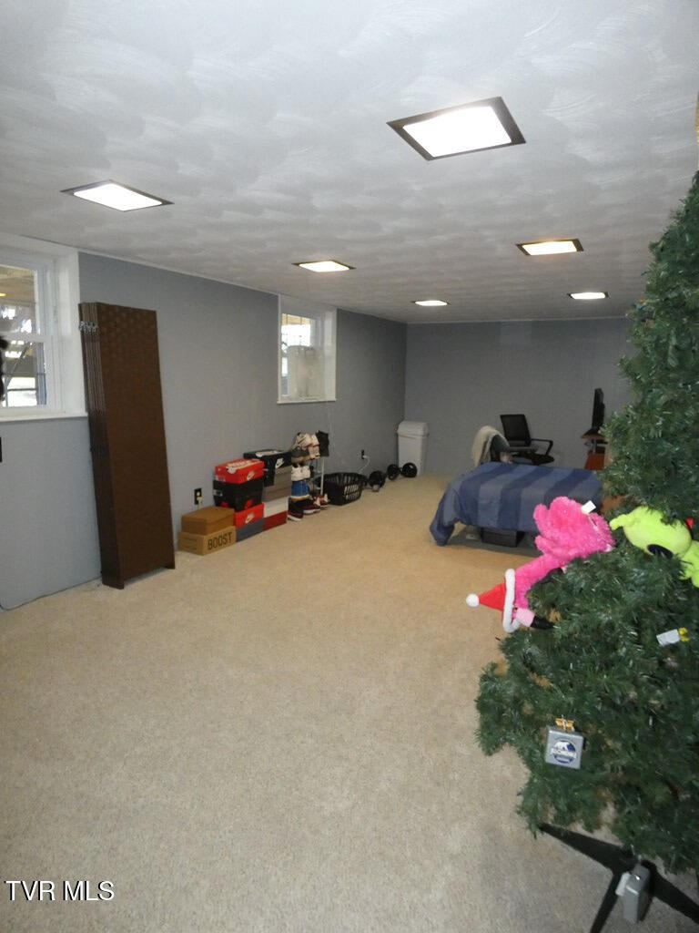 10351 Forest Hill Drive Property Photo 21
