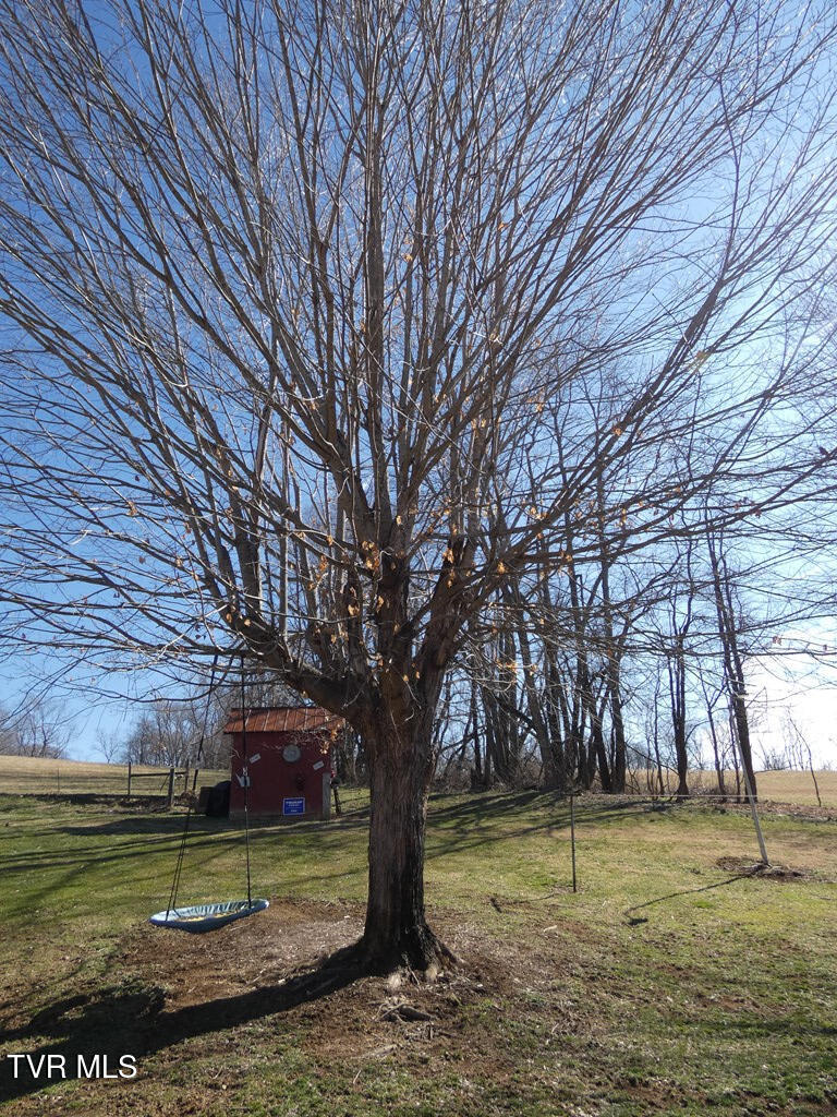 10351 Forest Hill Drive Property Photo 25
