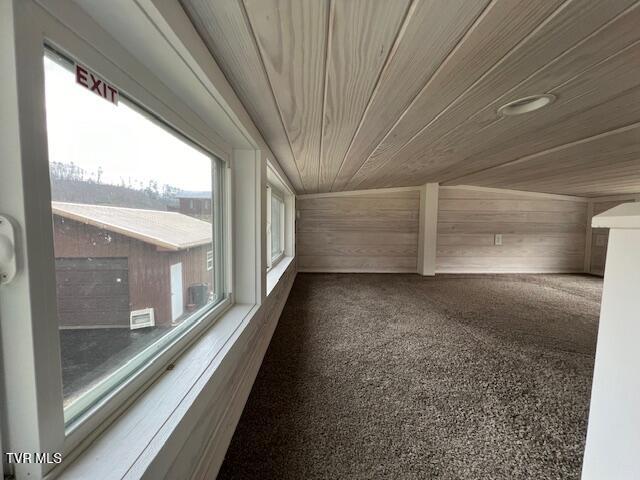 1131 Cold Springs Property Photo 11