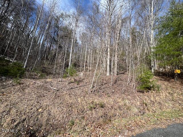 Callalantee Mtn Resort Real Estate Listings Main Image