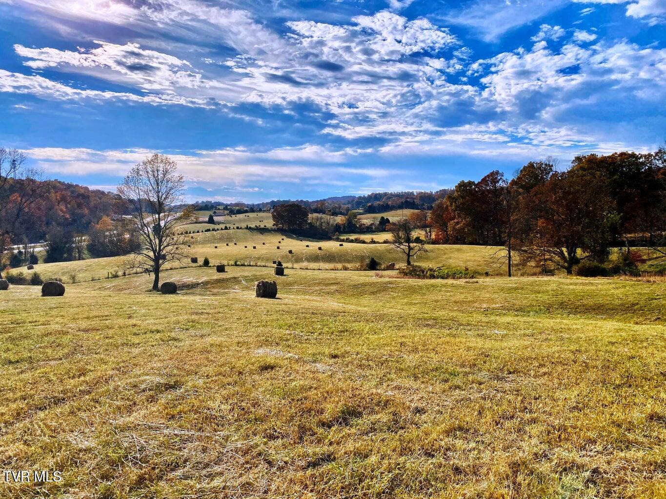 Tbd Hwy 11w Property Photo