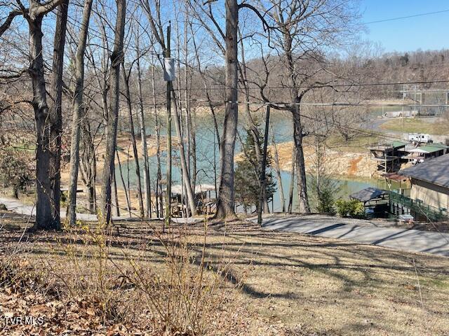 349 Baywood Drive Property Photo 40