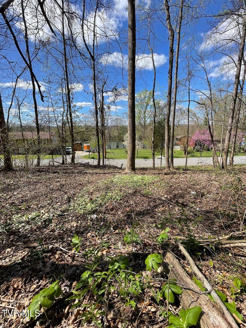 Tbd Kings Bay Drive Property Photo