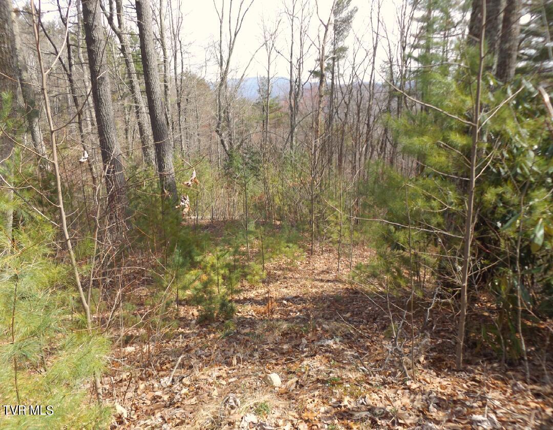 401 Chestnut Lot 54 Circle Property Photo 1