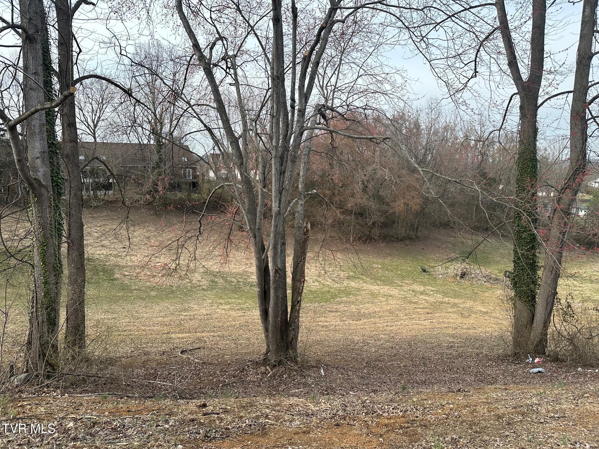 Tbd Ford Avenue Property Photo