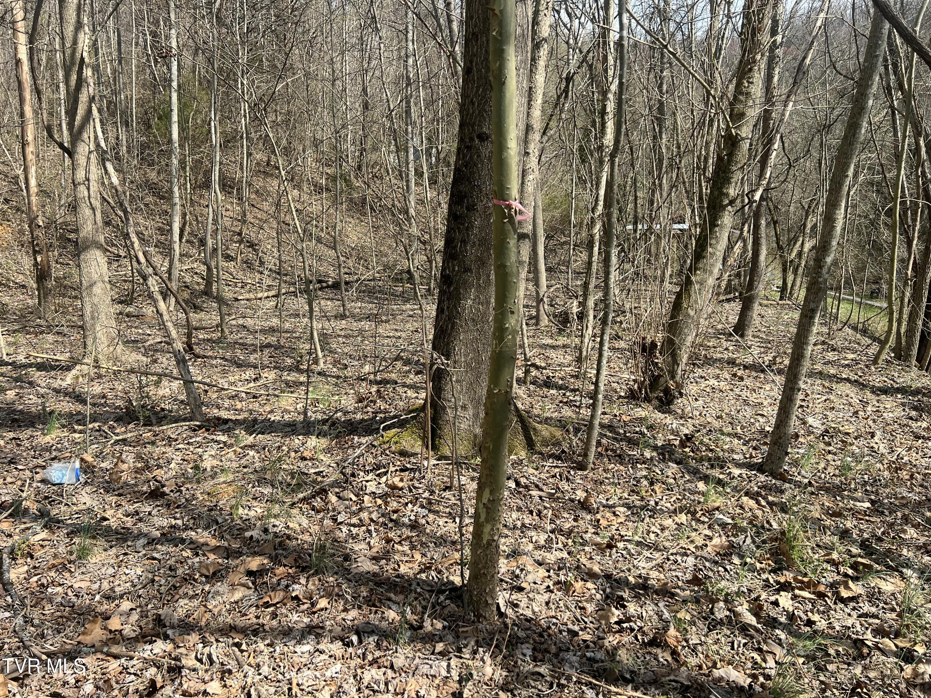 117 Icy Lane Property Photo 1