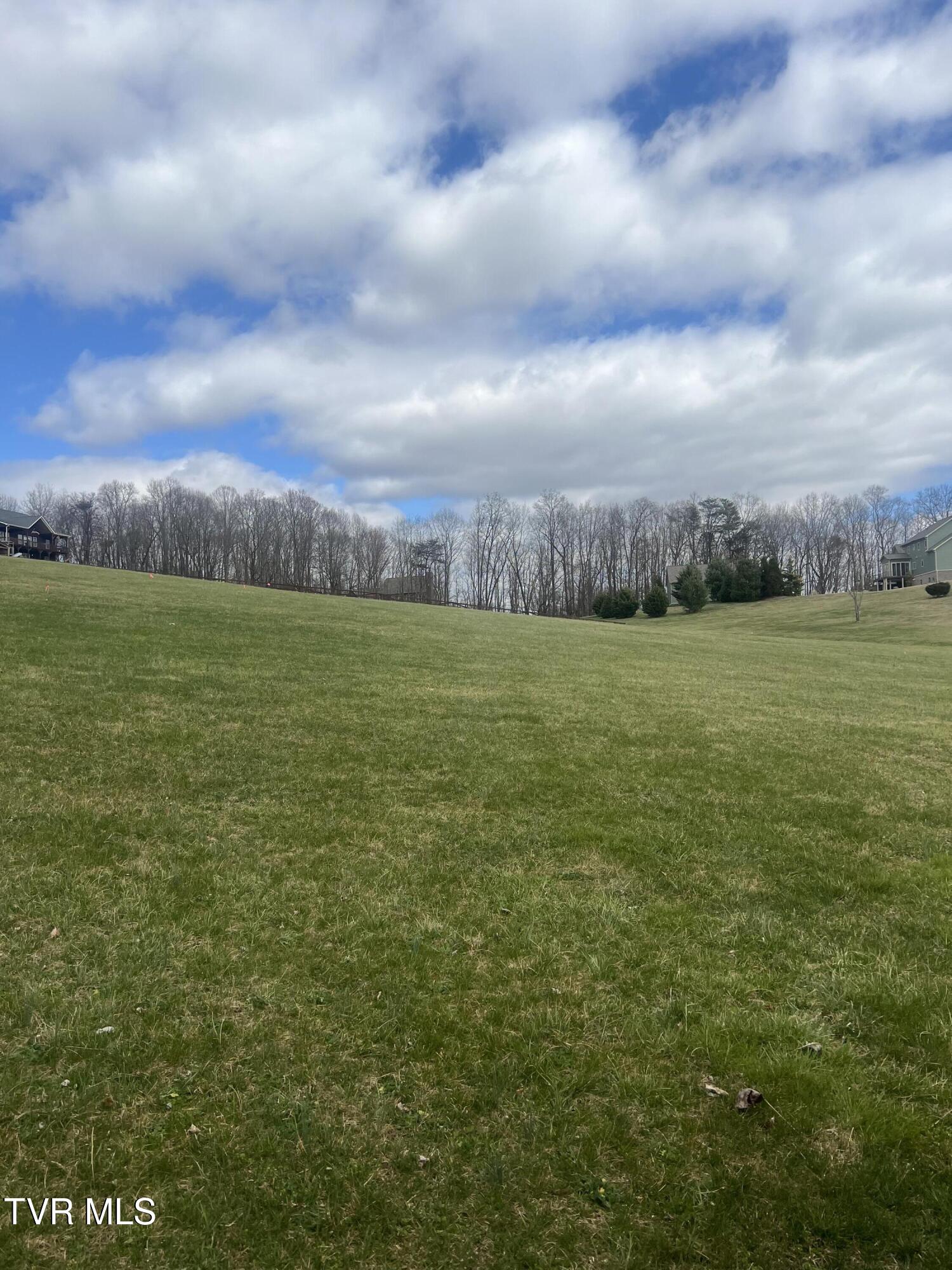 Lot 1rb Bacon Branch Road Property Photo