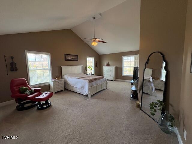 16 Coy Court Property Photo 14