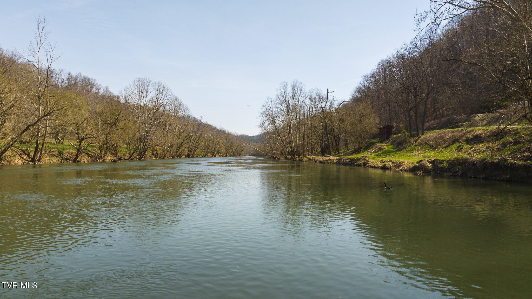 9950 Chestnut Ridge Road Property Photo 15