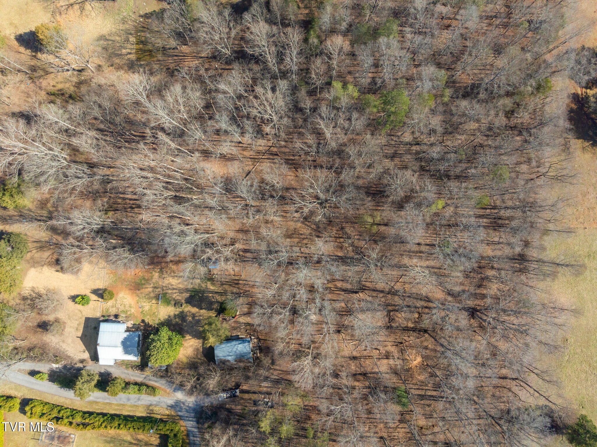 117 Stiner Shores Road Property Photo 28
