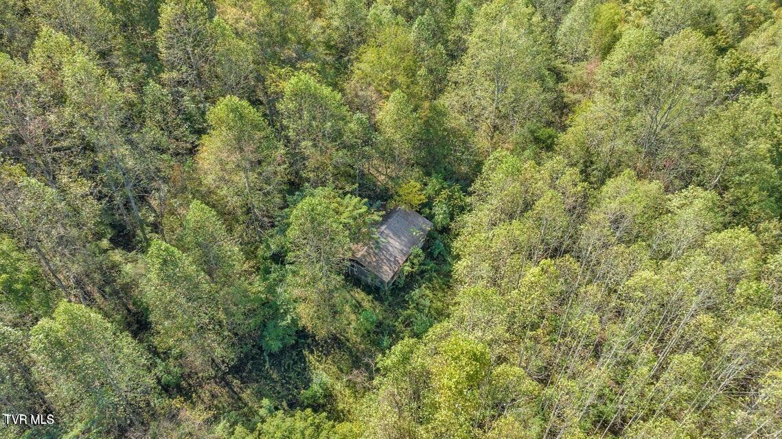 1297 Dry Creek Road Property Photo 41