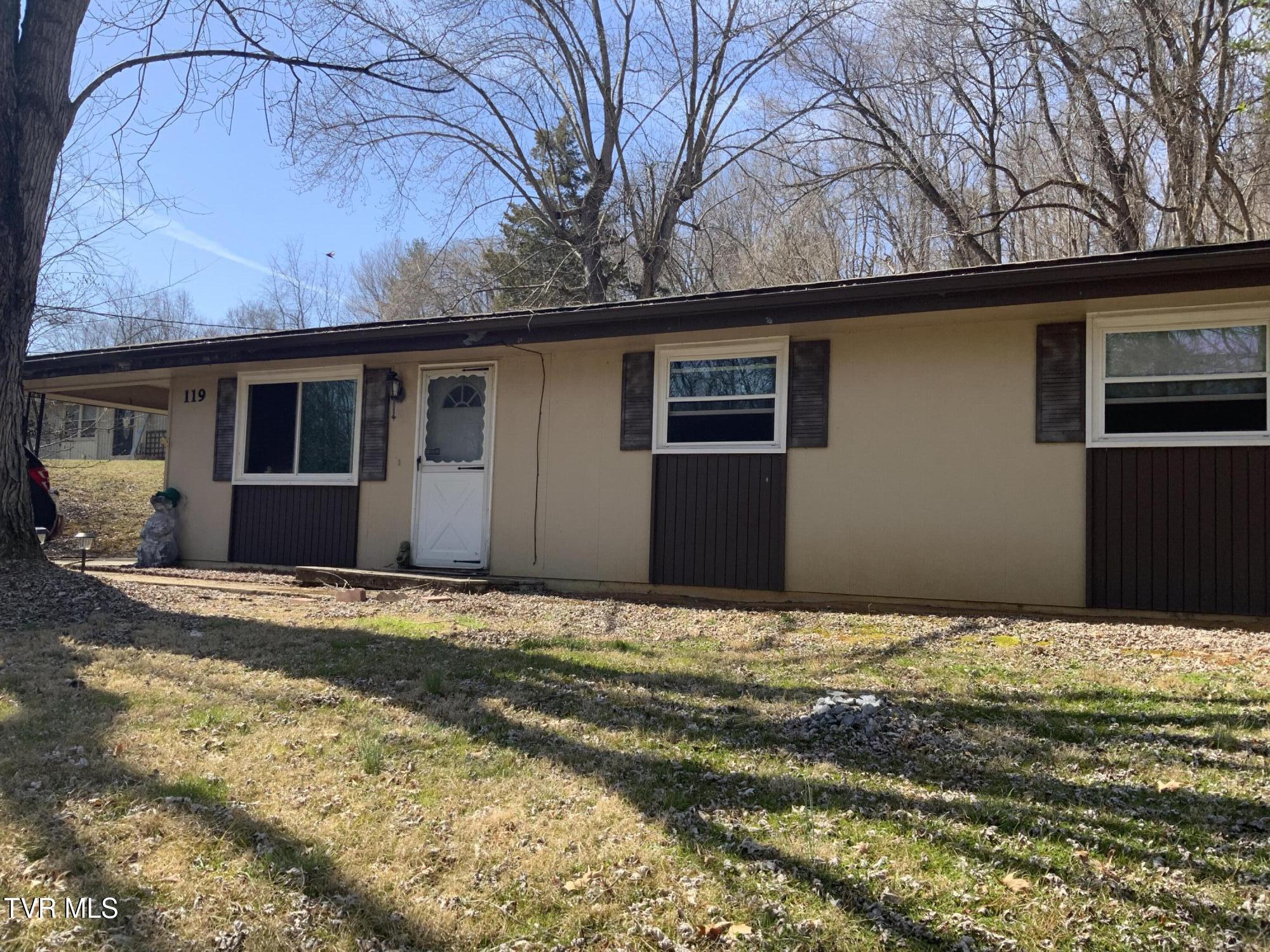 Boones Creek Real Estate Listings Main Image