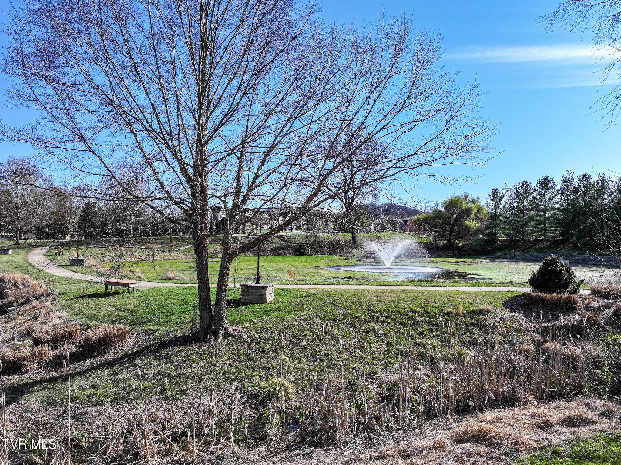 2608 Bridgeforth Crossing Property Photo 64