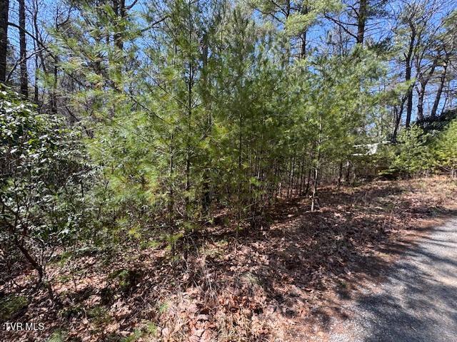 0 Buck Hollow Road Property Photo