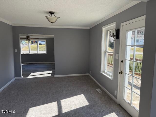 2021 Windsor Avenue Property Photo 4