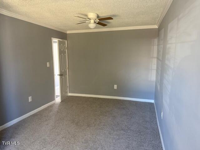 2021 Windsor Avenue Property Photo 6