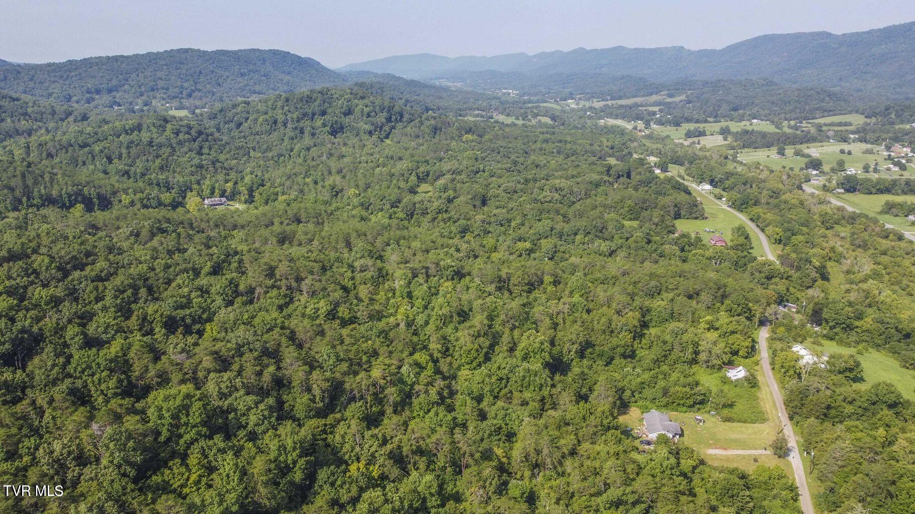 20 Acres Tbd Dunville Gap Road Property Photo