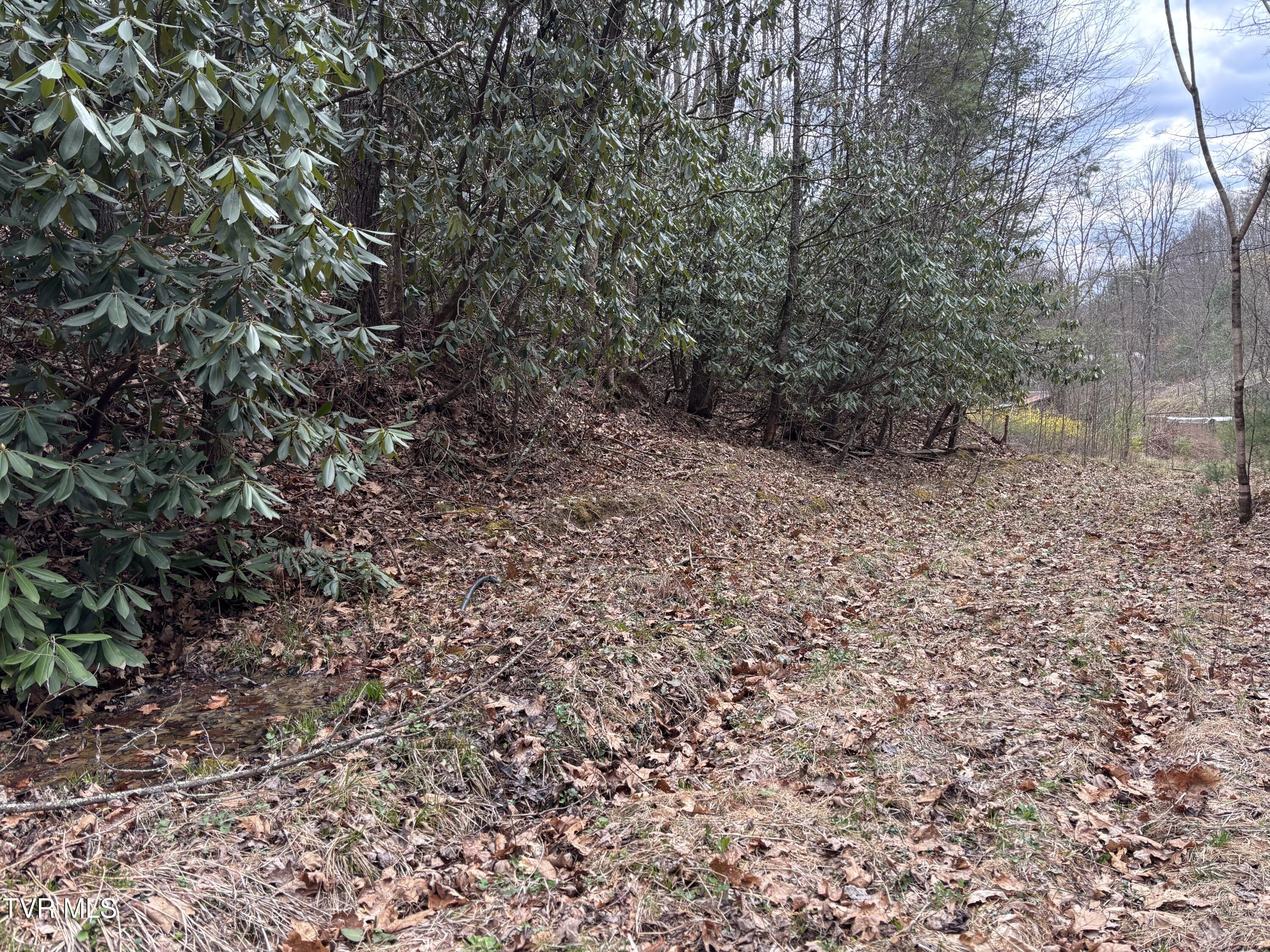 00 Robinson Hollow Lane Property Photo 1