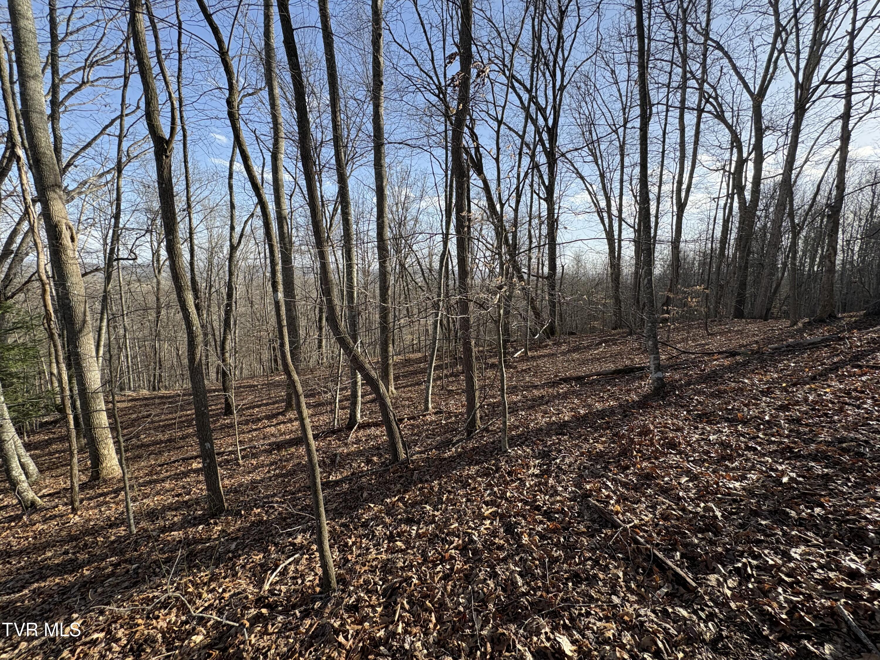 16100 Flags Road Property Photo 2