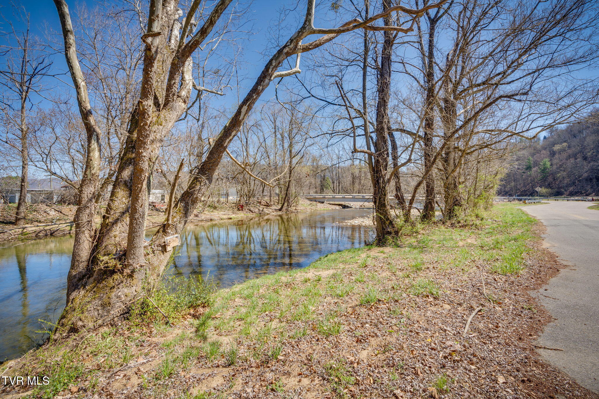 501 Polly Erwin Road Property Photo 12