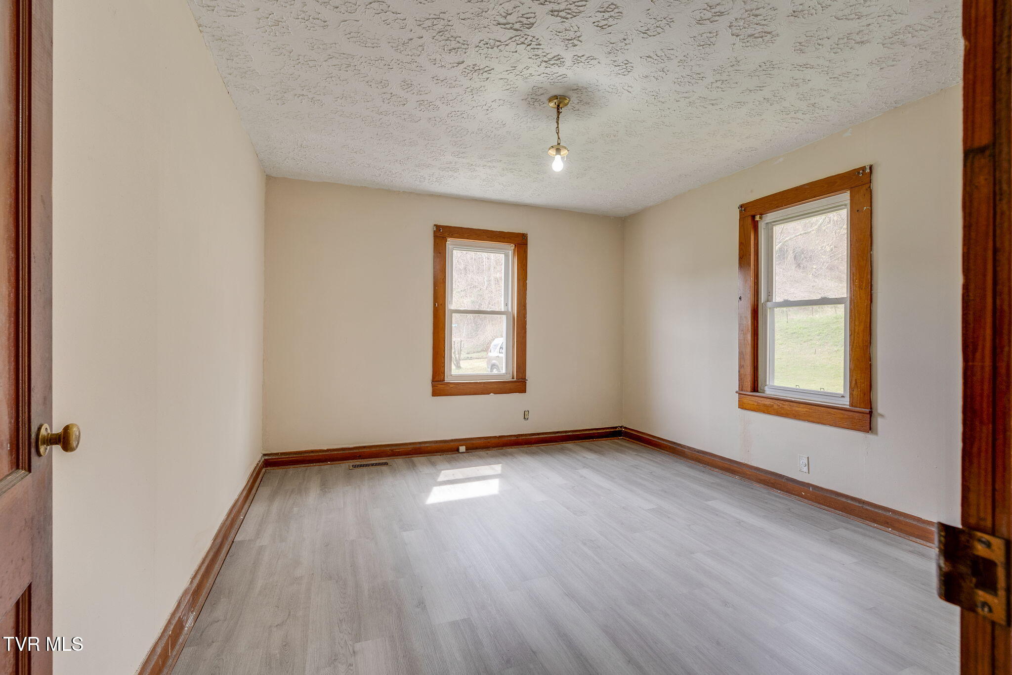 501 Polly Erwin Road Property Photo 24