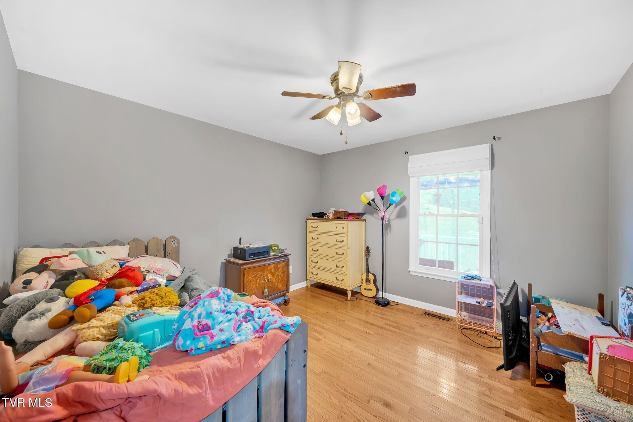 163 Springbrook Road Property Photo 17