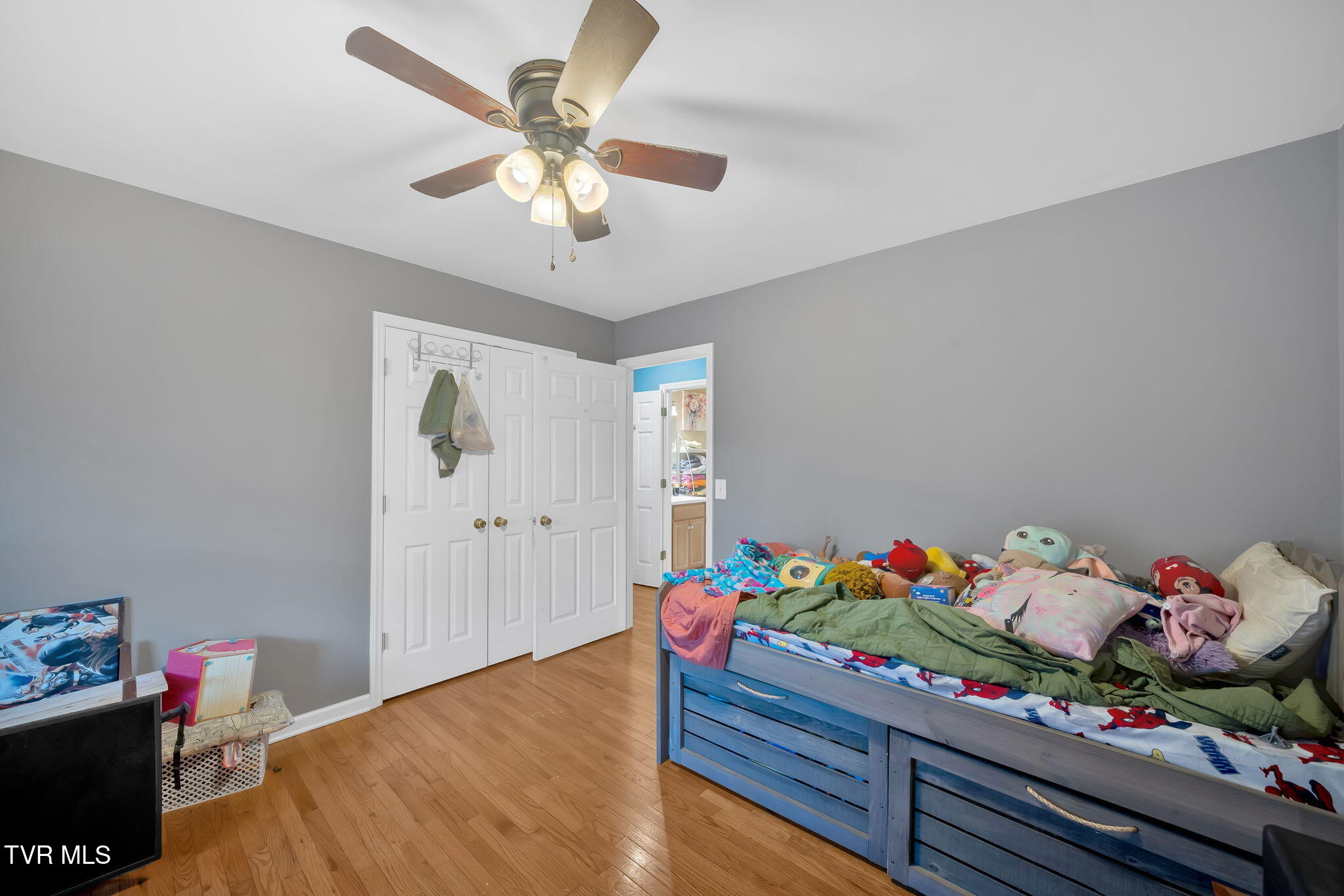 163 Springbrook Road Property Photo 19