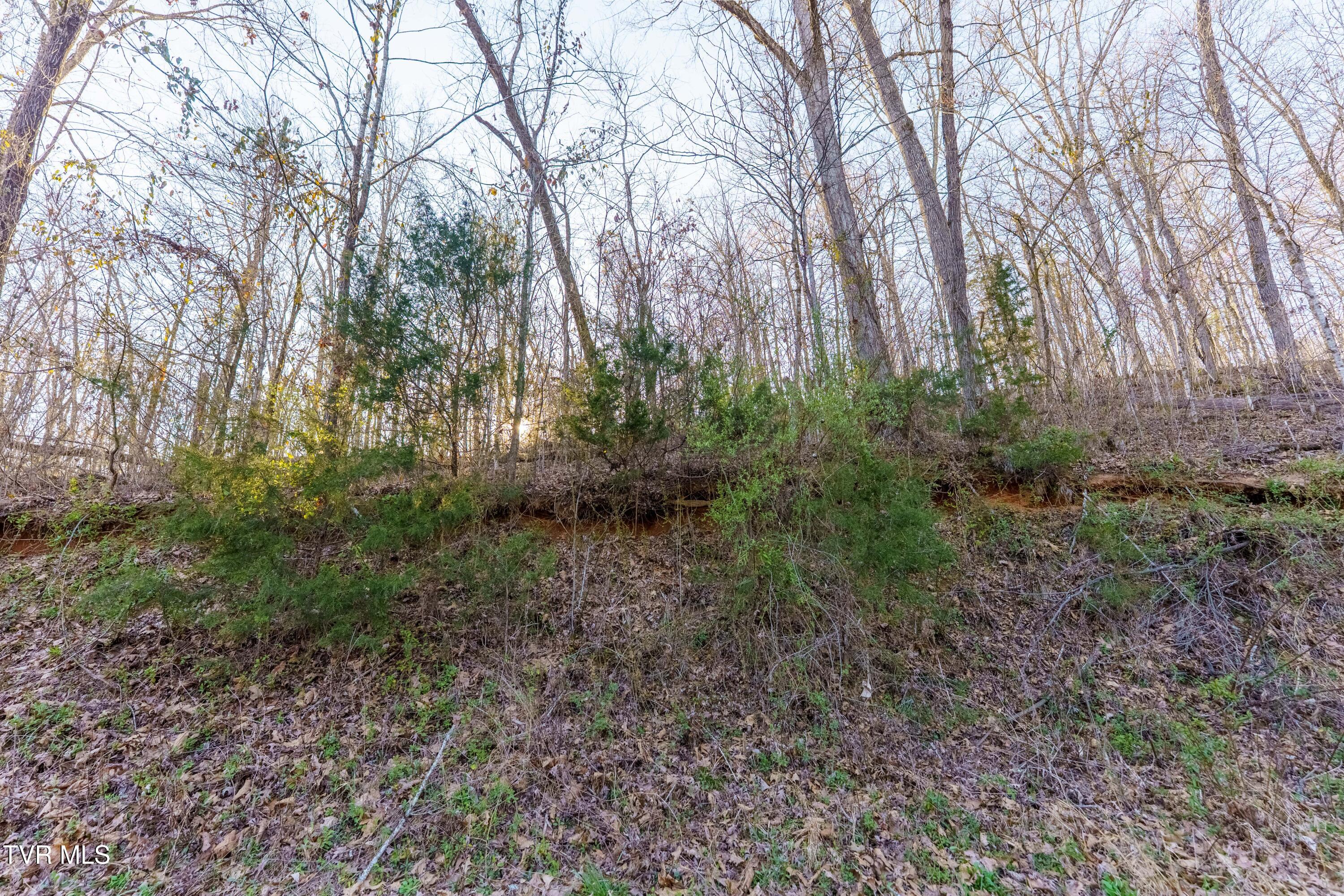 34 Ac Douglas Dam Road Property Photo