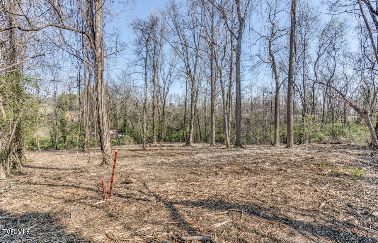 Tbd East Tenth Extension Avenue Property Photo