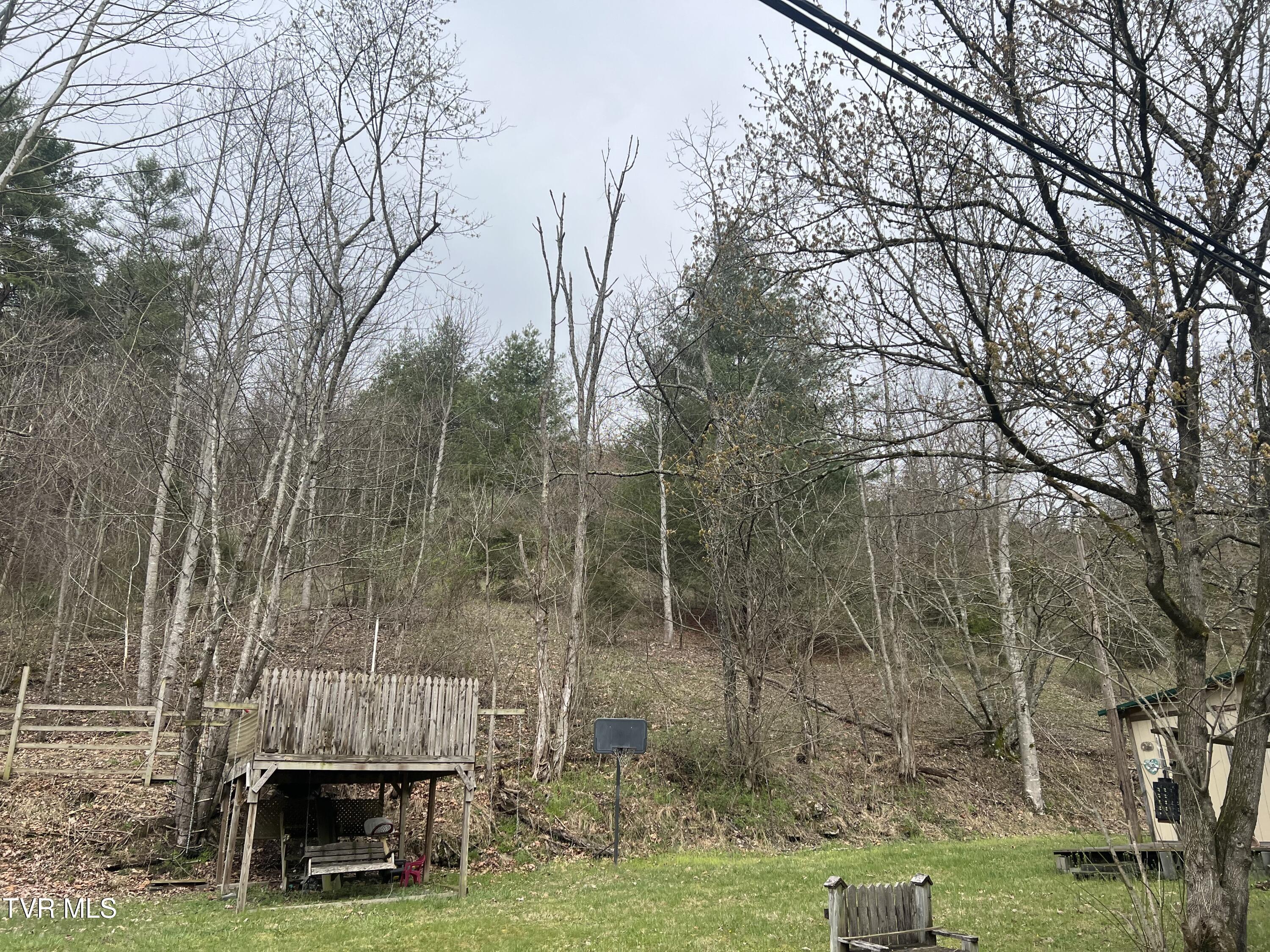 14251 Nickelsville Hwy. Highway Property Photo 55