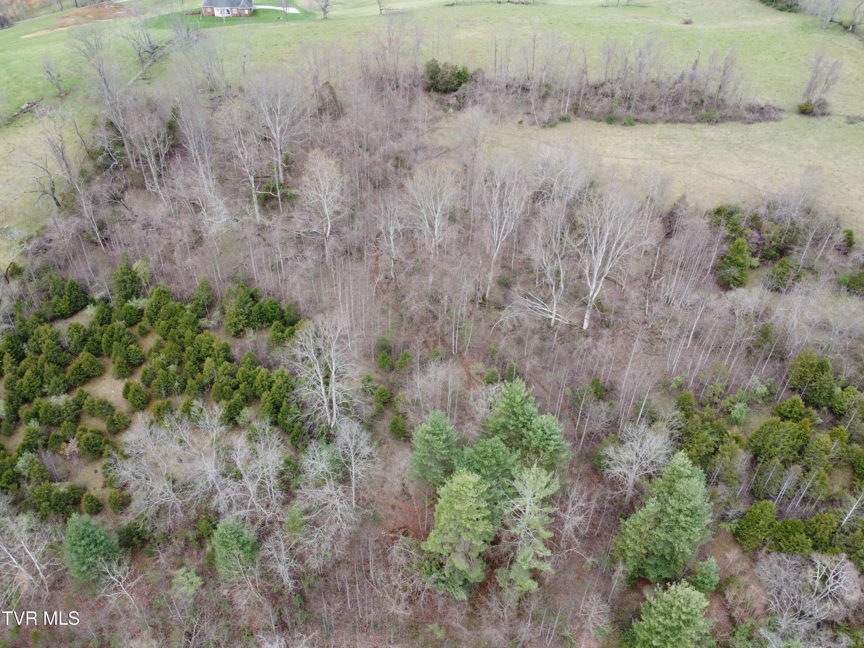 14251 Nickelsville Hwy. Highway Property Photo 73