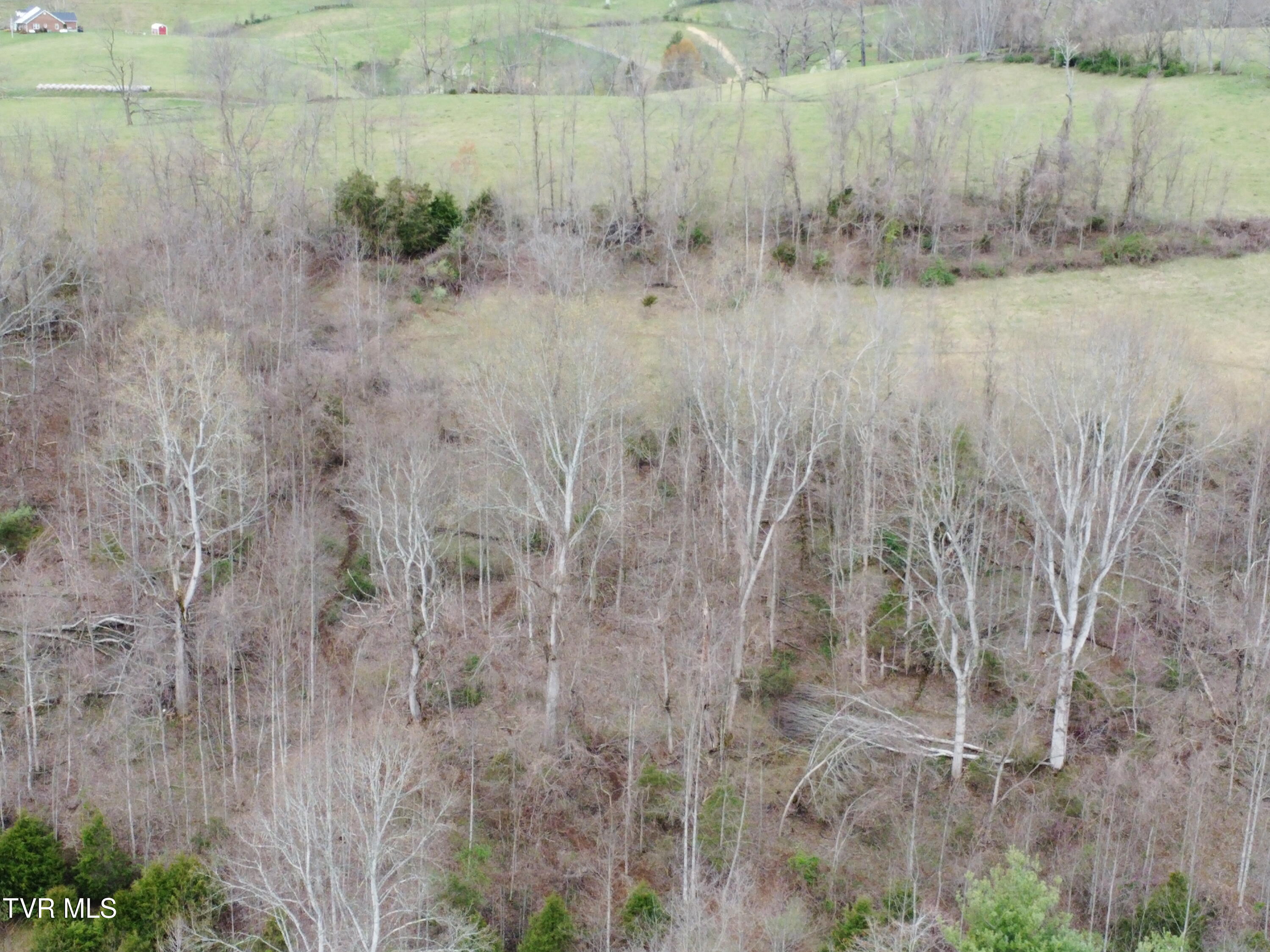 14251 Nickelsville Hwy. Highway Property Photo 75