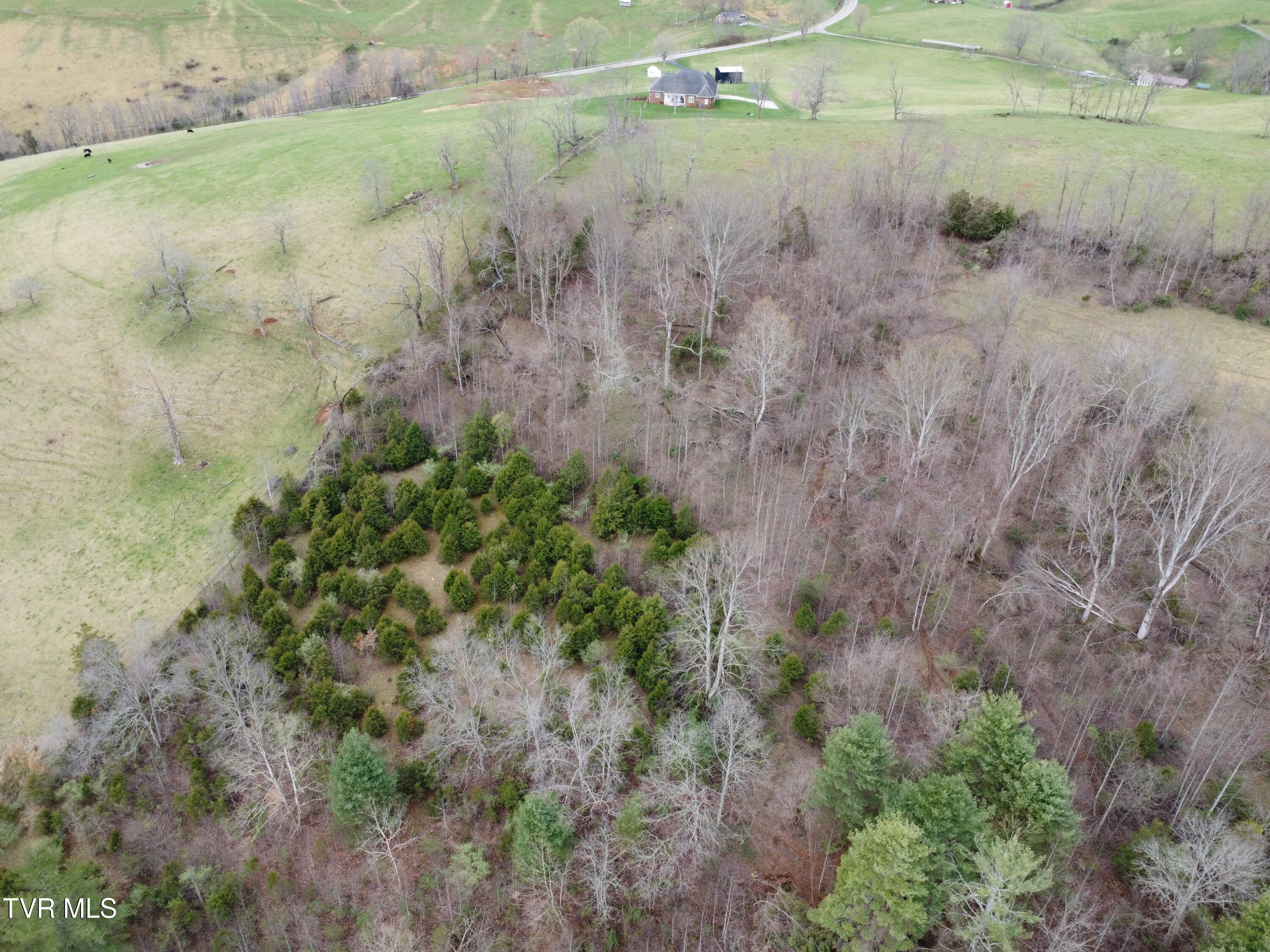 14251 Nickelsville Hwy. Highway Property Photo 77