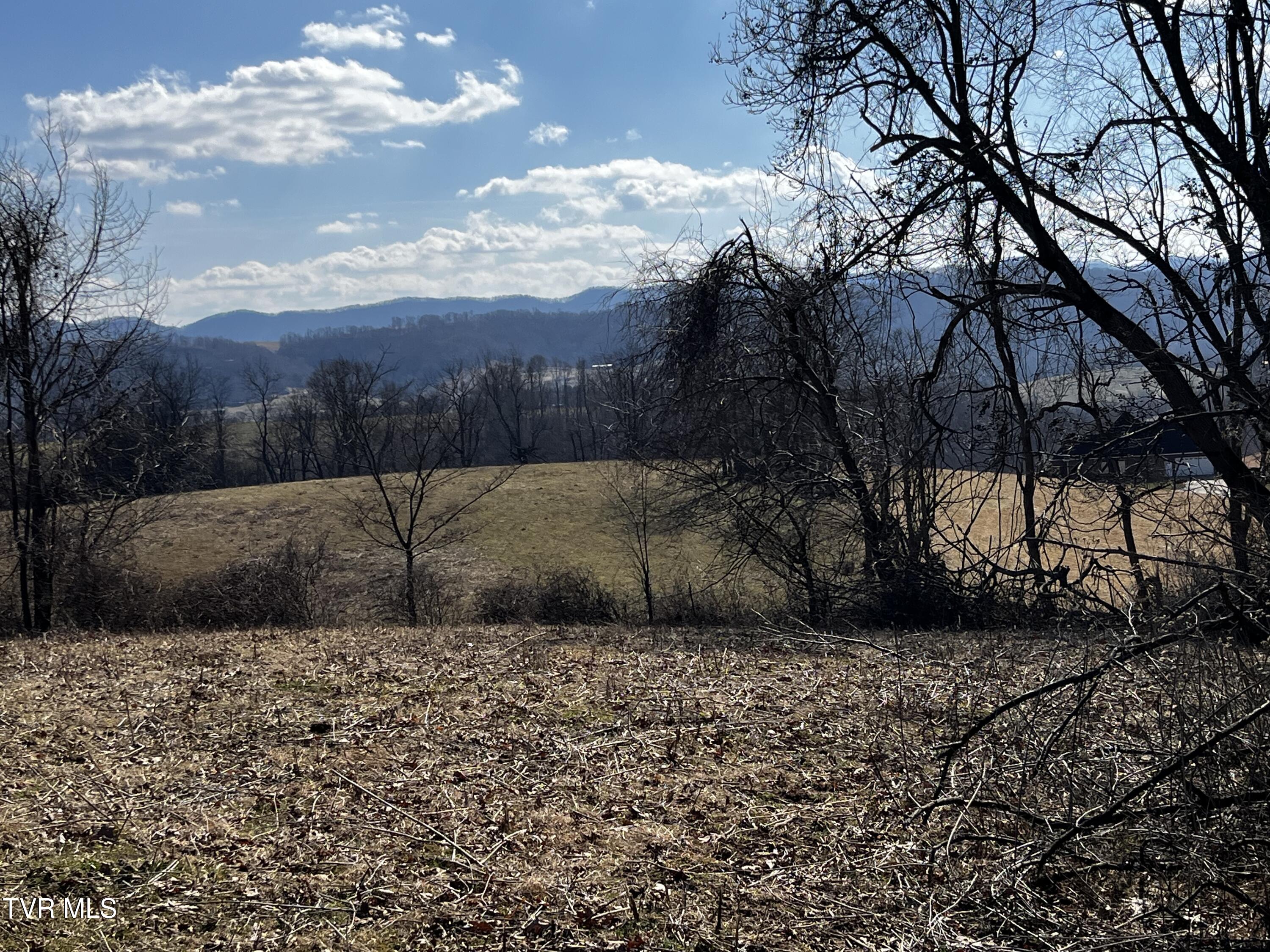 14251 Nickelsville Highway Property Photo