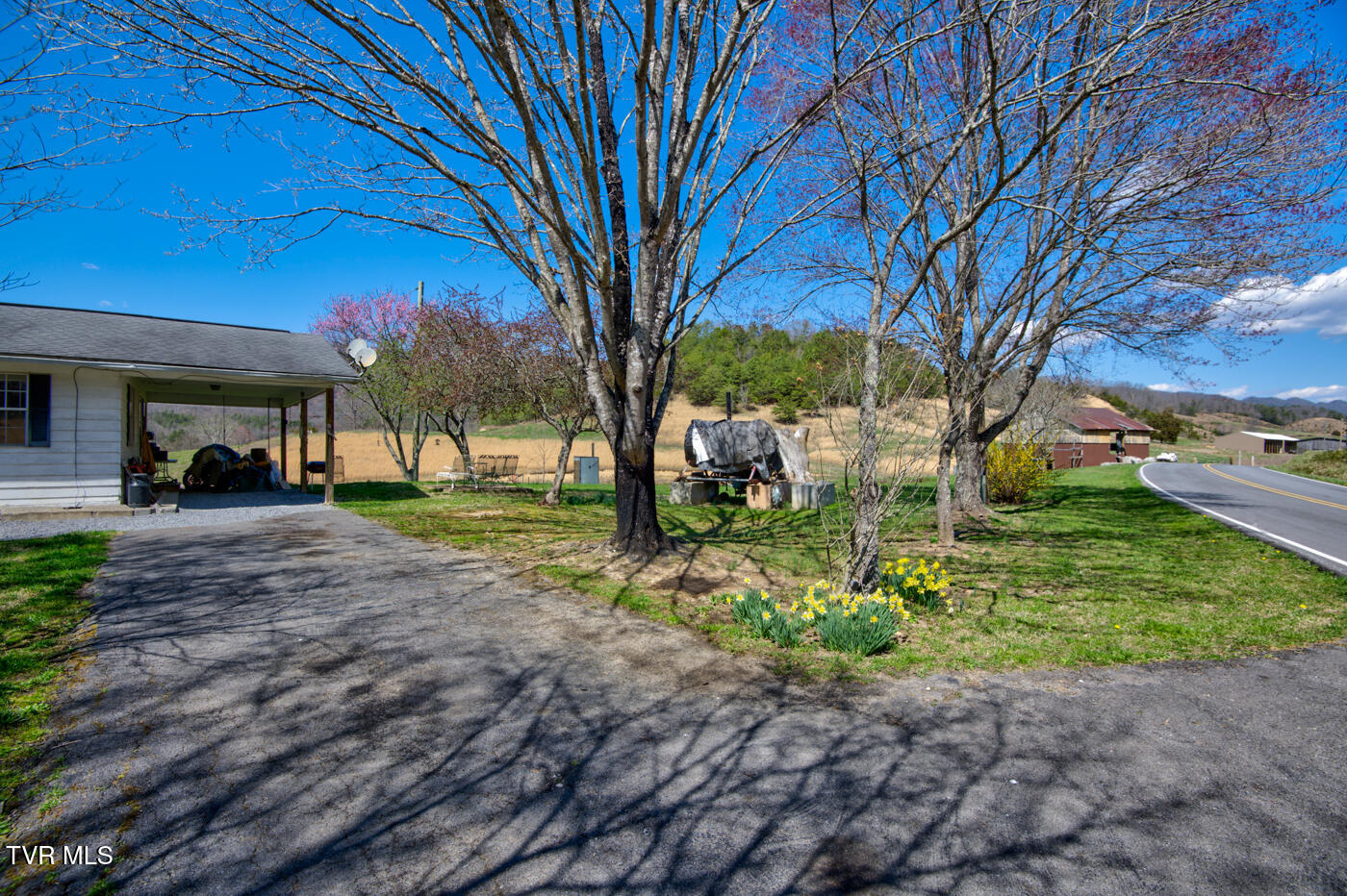 1157 Spruce Pine Road Property Photo 3