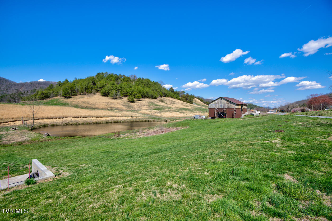 1157 Spruce Pine Road Property Photo 4