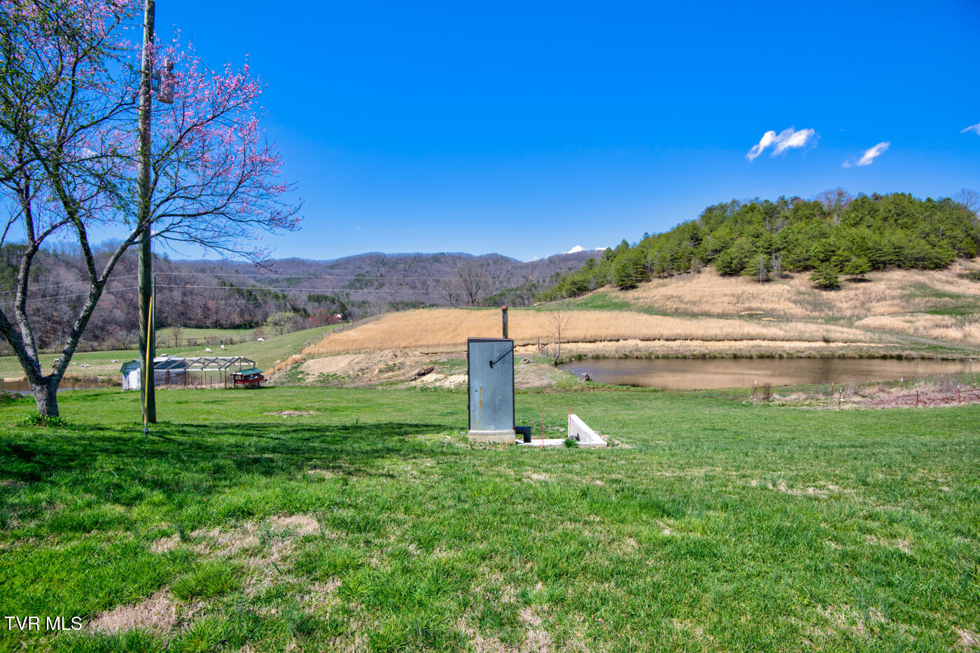 1157 Spruce Pine Road Property Photo 5