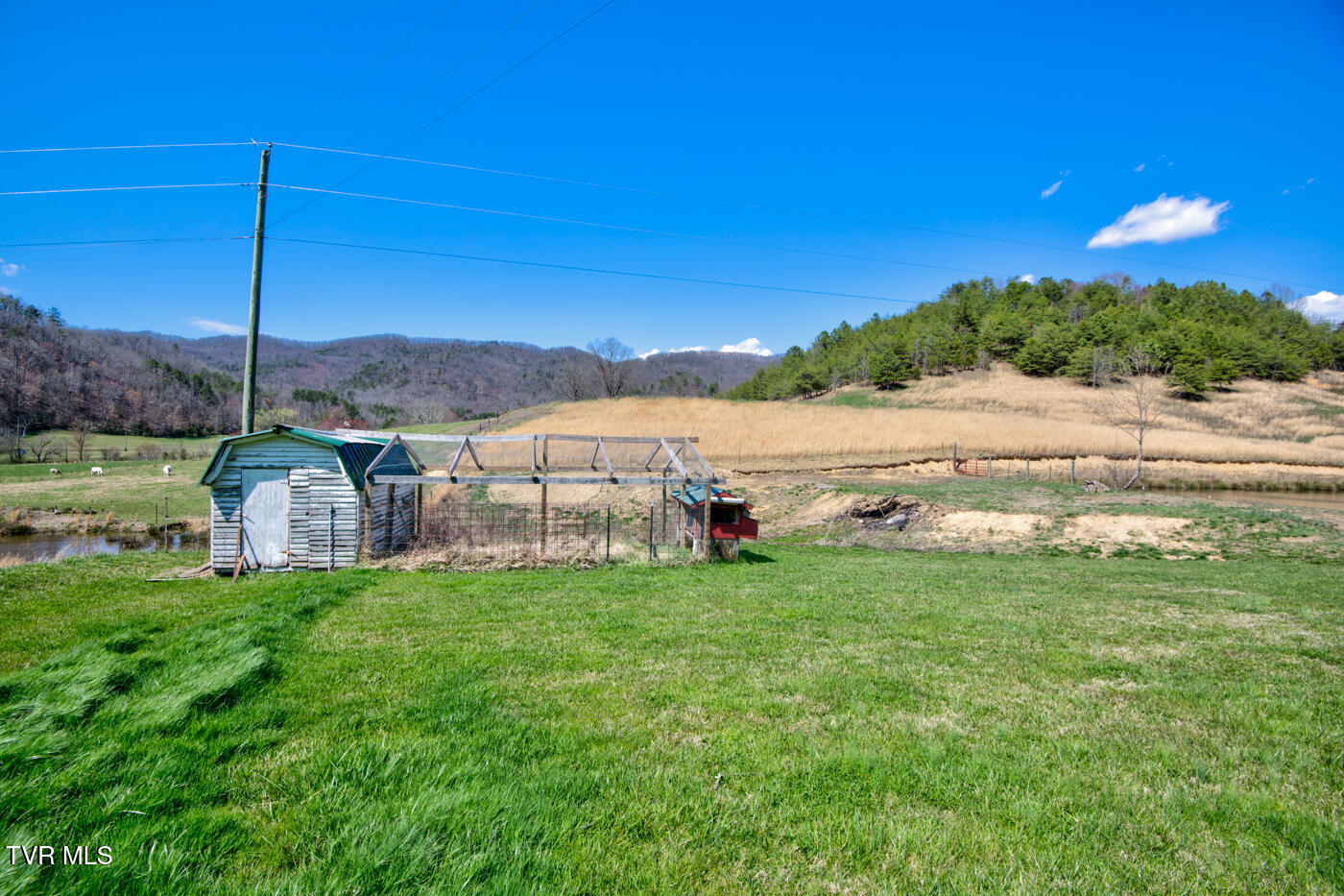 1157 Spruce Pine Road Property Photo 6