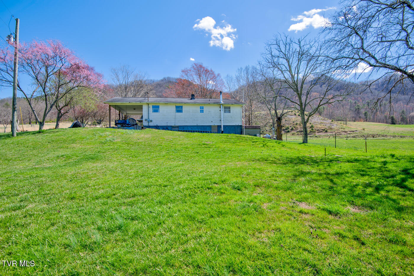 1157 Spruce Pine Road Property Photo 7