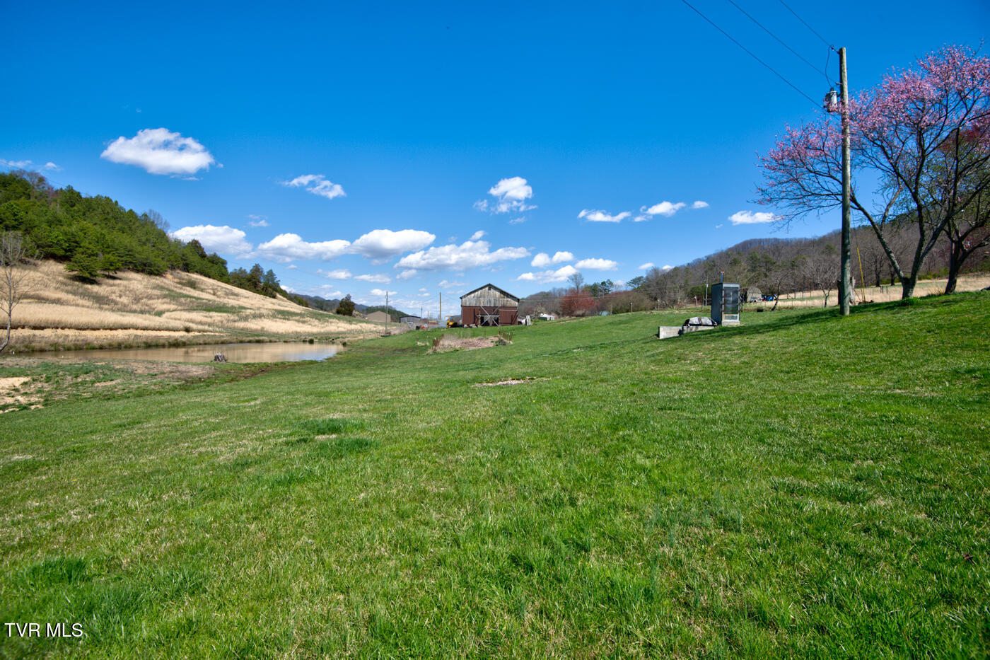 1157 Spruce Pine Road Property Photo 8