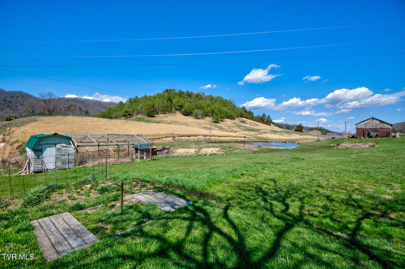 1157 Spruce Pine Road Property Photo 10