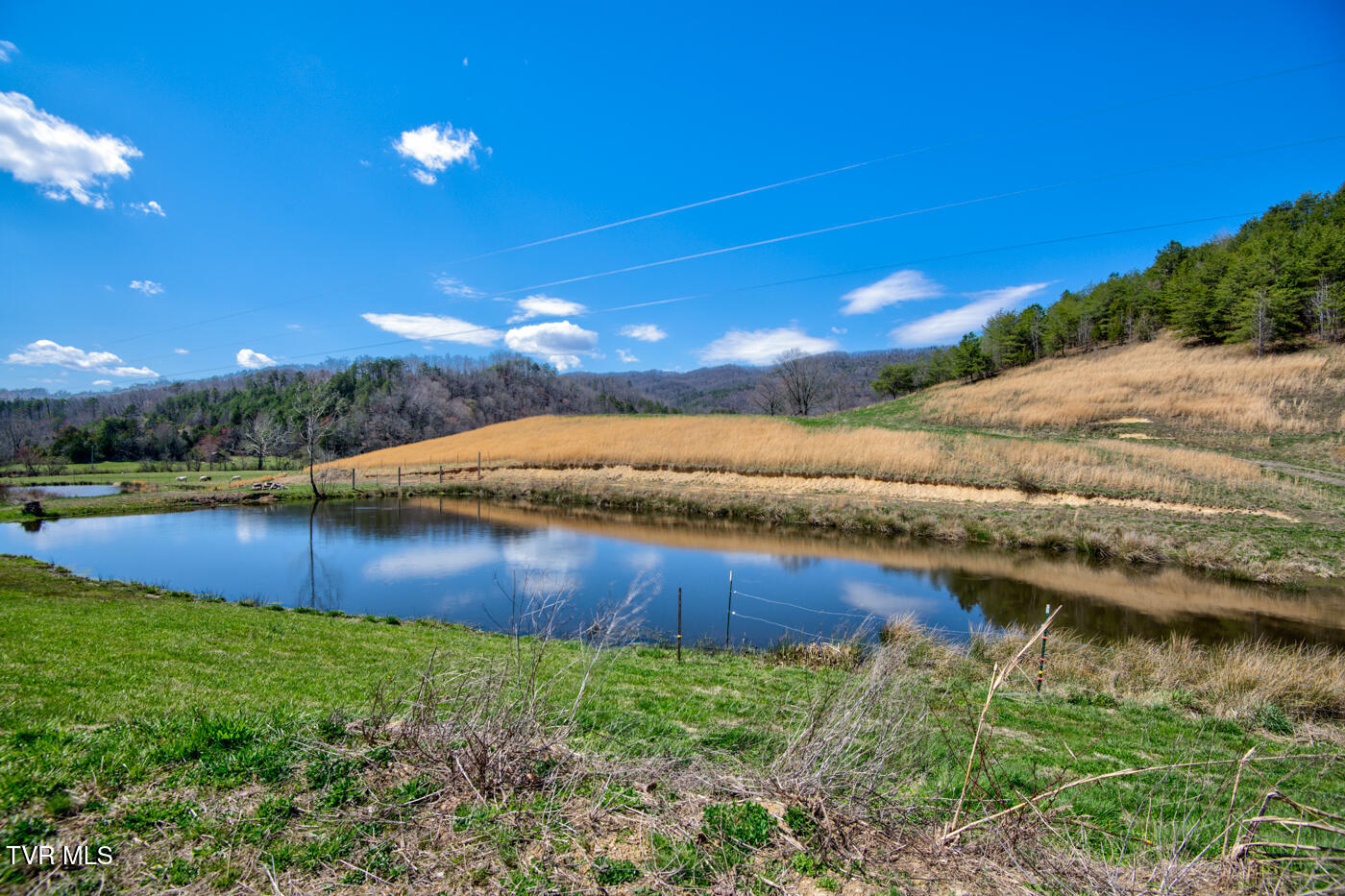 1157 Spruce Pine Road Property Photo 17