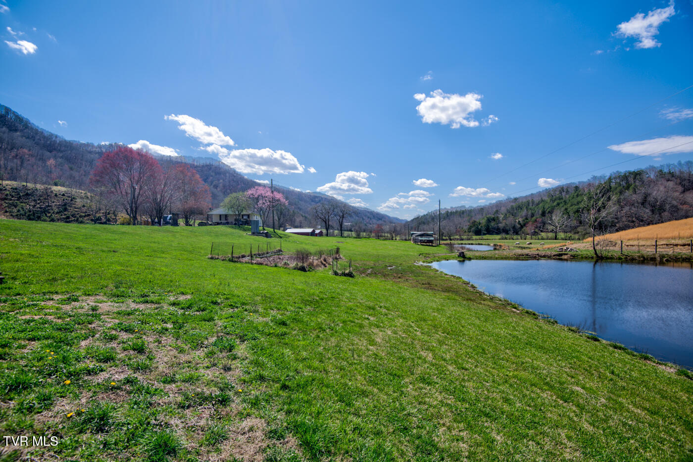 1157 Spruce Pine Road Property Photo 19