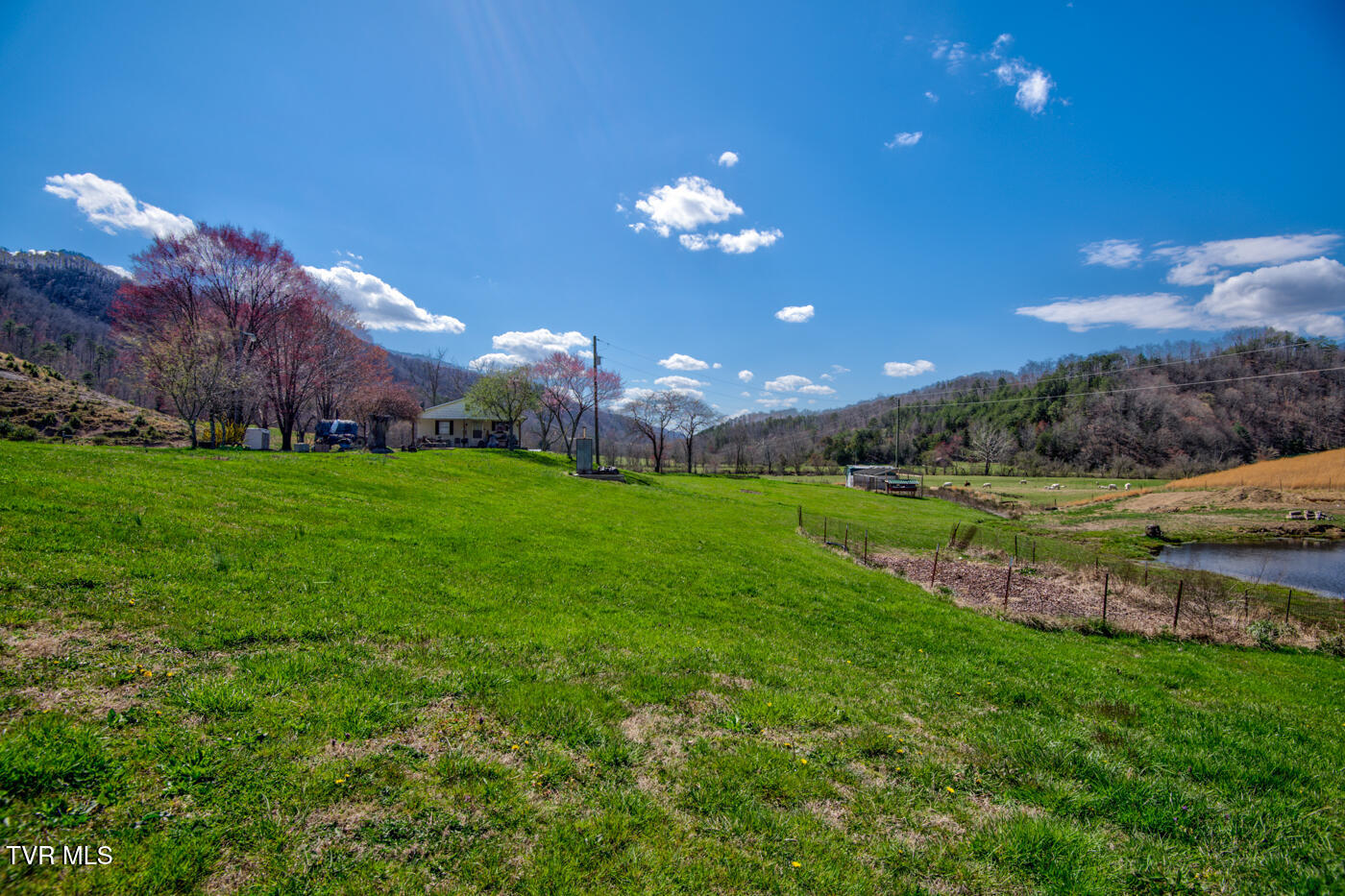 1157 Spruce Pine Road Property Photo 21