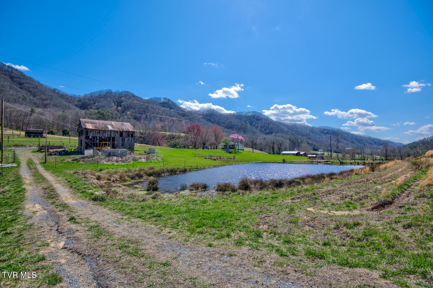 1157 Spruce Pine Road Property Photo 24